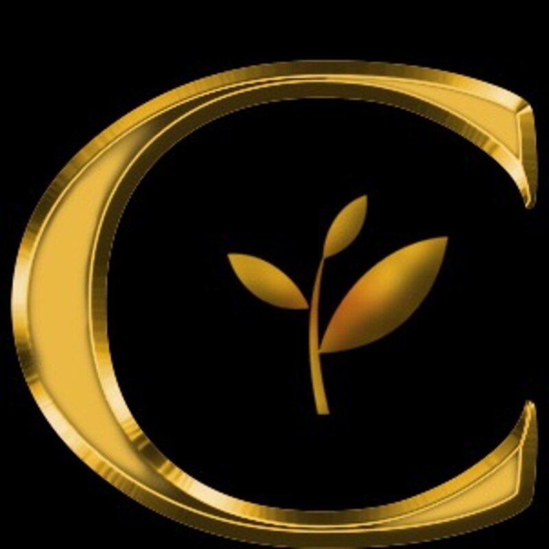 storefront logo